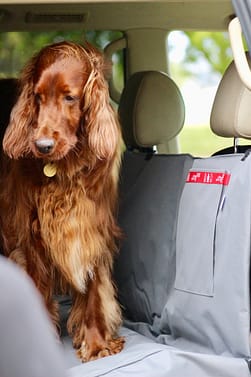 car seat hammock for dogs
